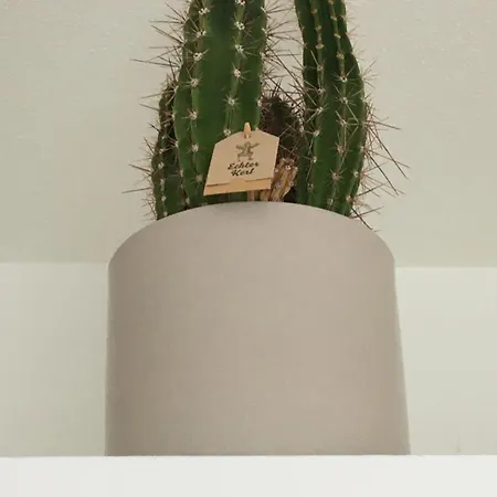 Tiny-klotzsche דרזדן