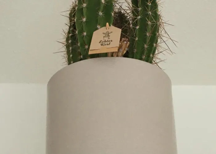 Tiny-klotzsche Dresden